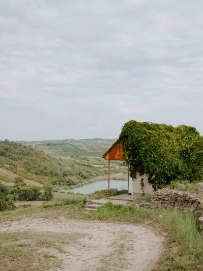 Dűlőtúra a Holdvölgy szőlőiben